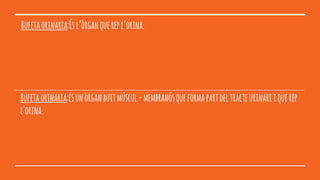 Bufetaorinaria:Ésl’òrganquerepl’orina.
Bufetaorinaria:ésunòrganbuitmúscul-membranósqueformapartdeltracteurinariiquerep
l'orina.
 