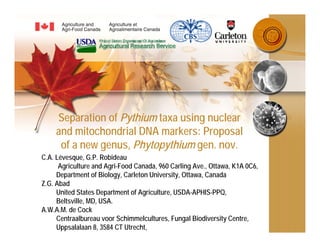 Separation of Pythium taxa using nuclear
    and mitochondrial DNA markers: Proposal
     of a new genus, Phytopythium gen. nov.
C.A. Lévesque, G.P. Robideau
      Agriculture and Agri-Food Canada, 960 Carling Ave., Ottawa, K1A 0C6,
     Department of Biology, Carleton University, Ottawa, Canada
Z.G. Abad
     United States Department of Agriculture, USDA-APHIS-PPQ,
     Beltsville, MD, USA.
A.W.A.M. de Cock
     Centraalbureau voor Schimmelcultures, Fungal Biodiversity Centre,
     Uppsalalaan 8, 3584 CT Utrecht,
 
