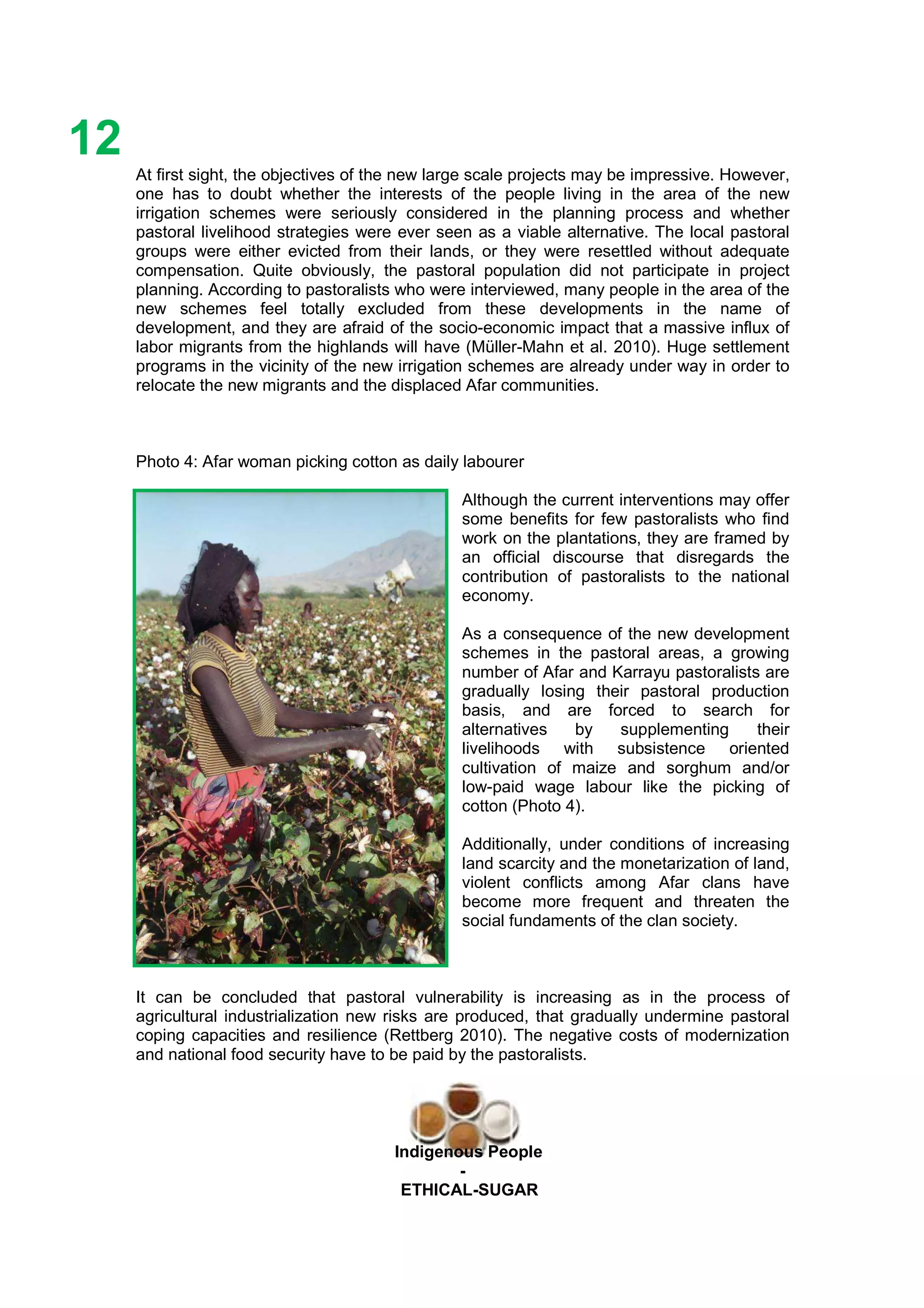 Ethicl
12
Indigenous People
-
ETHICAL-SUGAR
At first sight, the objectives of the new large scale projects may be impressive. However,
one has to doubt whether the interests of the people living in the area of the new
irrigation schemes were seriously considered in the planning process and whether
pastoral livelihood strategies were ever seen as a viable alternative. The local pastoral
groups were either evicted from their lands, or they were resettled without adequate
compensation. Quite obviously, the pastoral population did not participate in project
planning. According to pastoralists who were interviewed, many people in the area of the
new schemes feel totally excluded from these developments in the name of
development, and they are afraid of the socio-economic impact that a massive influx of
labor migrants from the highlands will have (Müller-Mahn et al. 2010). Huge settlement
programs in the vicinity of the new irrigation schemes are already under way in order to
relocate the new migrants and the displaced Afar communities.
Photo 4: Afar woman picking cotton as daily labourer
Although the current interventions may offer
some benefits for few pastoralists who find
work on the plantations, they are framed by
an official discourse that disregards the
contribution of pastoralists to the national
economy.
As a consequence of the new development
schemes in the pastoral areas, a growing
number of Afar and Karrayu pastoralists are
gradually losing their pastoral production
basis, and are forced to search for
alternatives by supplementing their
livelihoods with subsistence oriented
cultivation of maize and sorghum and/or
low-paid wage labour like the picking of
cotton (Photo 4).
Additionally, under conditions of increasing
land scarcity and the monetarization of land,
violent conflicts among Afar clans have
become more frequent and threaten the
social fundaments of the clan society.
It can be concluded that pastoral vulnerability is increasing as in the process of
agricultural industrialization new risks are produced, that gradually undermine pastoral
coping capacities and resilience (Rettberg 2010). The negative costs of modernization
and national food security have to be paid by the pastoralists.
 