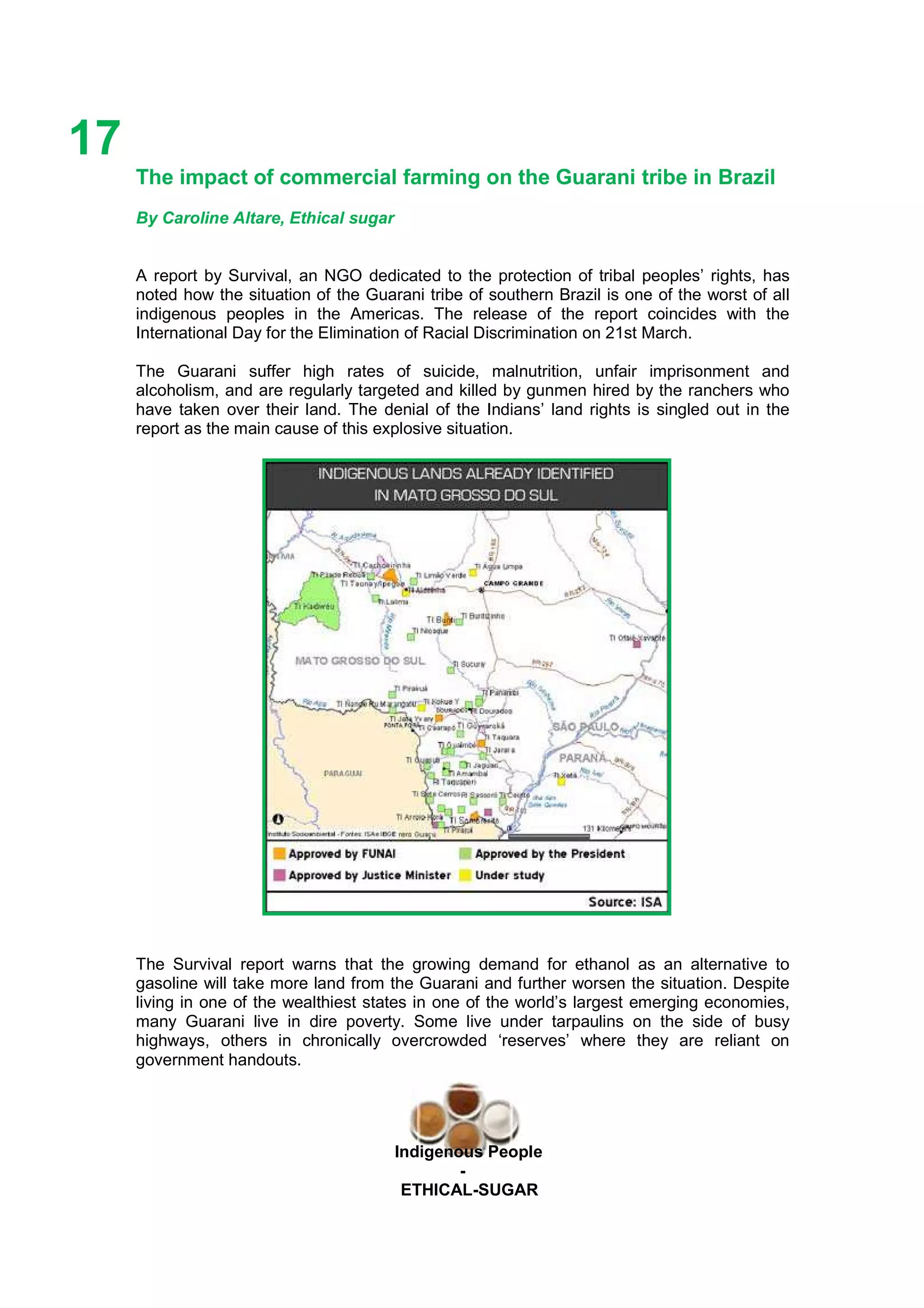Ethicl
17
Indigenous People
-
ETHICAL-SUGAR
The impact of commercial farming on the Guarani tribe in Brazil
By Caroline Altare, Ethical sugar
A report by Survival, an NGO dedicated to the protection of tribal peoples’ rights, has
noted how the situation of the Guarani tribe of southern Brazil is one of the worst of all
indigenous peoples in the Americas. The release of the report coincides with the
International Day for the Elimination of Racial Discrimination on 21st March.
The Guarani suffer high rates of suicide, malnutrition, unfair imprisonment and
alcoholism, and are regularly targeted and killed by gunmen hired by the ranchers who
have taken over their land. The denial of the Indians’ land rights is singled out in the
report as the main cause of this explosive situation.
The Survival report warns that the growing demand for ethanol as an alternative to
gasoline will take more land from the Guarani and further worsen the situation. Despite
living in one of the wealthiest states in one of the world’s largest emerging economies,
many Guarani live in dire poverty. Some live under tarpaulins on the side of busy
highways, others in chronically overcrowded ‘reserves’ where they are reliant on
government handouts.
 
