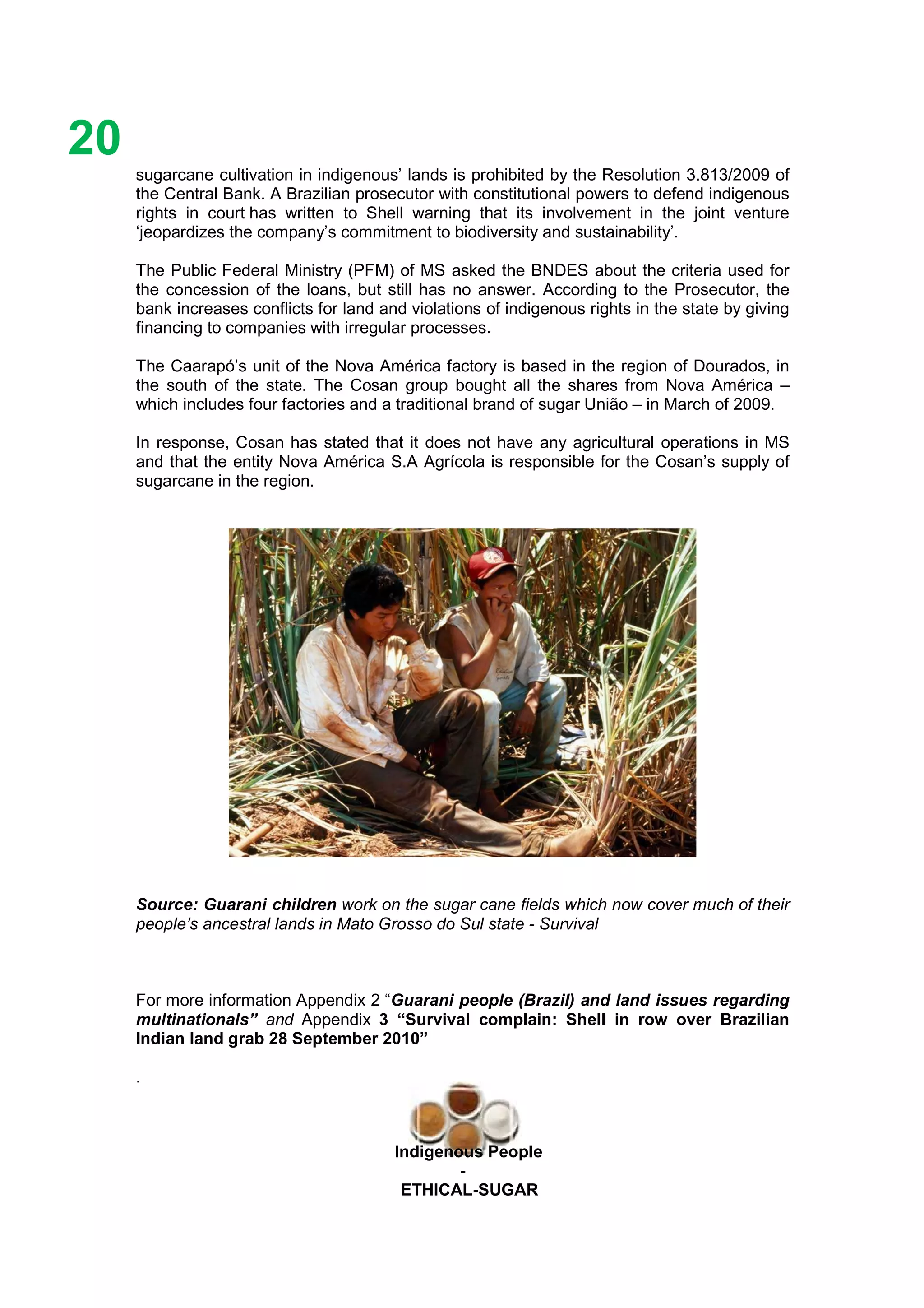 Ethicl
20
Indigenous People
-
ETHICAL-SUGAR
sugarcane cultivation in indigenous’ lands is prohibited by the Resolution 3.813/2009 of
the Central Bank. A Brazilian prosecutor with constitutional powers to defend indigenous
rights in court has written to Shell warning that its involvement in the joint venture
‘jeopardizes the company’s commitment to biodiversity and sustainability’.
The Public Federal Ministry (PFM) of MS asked the BNDES about the criteria used for
the concession of the loans, but still has no answer. According to the Prosecutor, the
bank increases conflicts for land and violations of indigenous rights in the state by giving
financing to companies with irregular processes.
The Caarapó’s unit of the Nova América factory is based in the region of Dourados, in
the south of the state. The Cosan group bought all the shares from Nova América –
which includes four factories and a traditional brand of sugar União – in March of 2009.
In response, Cosan has stated that it does not have any agricultural operations in MS
and that the entity Nova América S.A Agrícola is responsible for the Cosan’s supply of
sugarcane in the region.
Source: Guarani children work on the sugar cane fields which now cover much of their
people’s ancestral lands in Mato Grosso do Sul state - Survival
For more information Appendix 2 “Guarani people (Brazil) and land issues regarding
multinationals” and Appendix 3 “Survival complain: Shell in row over Brazilian
Indian land grab 28 September 2010”
.
 
