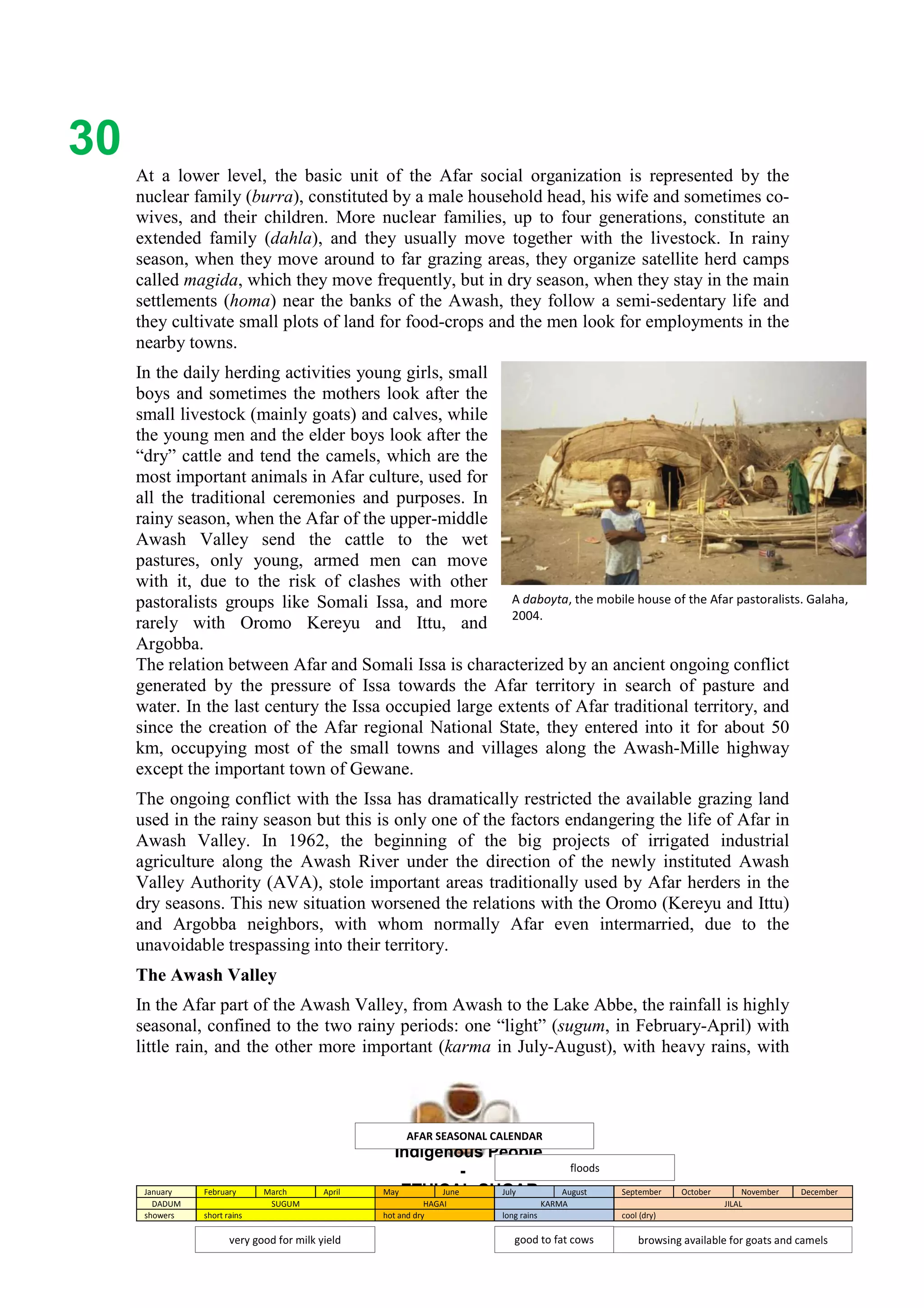 Ethicl
30
Indigenous People
-
ETHICAL-SUGAR
At a lower level, the basic unit of the Afar social organization is represented by the
nuclear family (burra), constituted by a male household head, his wife and sometimes co-
wives, and their children. More nuclear families, up to four generations, constitute an
extended family (dahla), and they usually move together with the livestock. In rainy
season, when they move around to far grazing areas, they organize satellite herd camps
called magida, which they move frequently, but in dry season, when they stay in the main
settlements (homa) near the banks of the Awash, they follow a semi-sedentary life and
they cultivate small plots of land for food-crops and the men look for employments in the
nearby towns.
In the daily herding activities young girls, small
boys and sometimes the mothers look after the
small livestock (mainly goats) and calves, while
the young men and the elder boys look after the
“dry” cattle and tend the camels, which are the
most important animals in Afar culture, used for
all the traditional ceremonies and purposes. In
rainy season, when the Afar of the upper-middle
Awash Valley send the cattle to the wet
pastures, only young, armed men can move
with it, due to the risk of clashes with other
pastoralists groups like Somali Issa, and more
rarely with Oromo Kereyu and Ittu, and
Argobba.
The relation between Afar and Somali Issa is characterized by an ancient ongoing conflict
generated by the pressure of Issa towards the Afar territory in search of pasture and
water. In the last century the Issa occupied large extents of Afar traditional territory, and
since the creation of the Afar regional National State, they entered into it for about 50
km, occupying most of the small towns and villages along the Awash-Mille highway
except the important town of Gewane.
The ongoing conflict with the Issa has dramatically restricted the available grazing land
used in the rainy season but this is only one of the factors endangering the life of Afar in
Awash Valley. In 1962, the beginning of the big projects of irrigated industrial
agriculture along the Awash River under the direction of the newly instituted Awash
Valley Authority (AVA), stole important areas traditionally used by Afar herders in the
dry seasons. This new situation worsened the relations with the Oromo (Kereyu and Ittu)
and Argobba neighbors, with whom normally Afar even intermarried, due to the
unavoidable trespassing into their territory.
The Awash Valley
In the Afar part of the Awash Valley, from Awash to the Lake Abbe, the rainfall is highly
seasonal, confined to the two rainy periods: one “light” (sugum, in February-April) with
little rain, and the other more important (karma in July-August), with heavy rains, with
A daboyta, the mobile house of the Afar pastoralists. Galaha,
2004.
January February March April May June July August September October November December
DADUM SUGUM HAGAI KARMA JILAL
showers short rains hot and dry long rains cool (dry)
very good for milk yield
floods
browsing available for goats and camelsgood to fat cows
AFAR SEASONAL CALENDAR
 