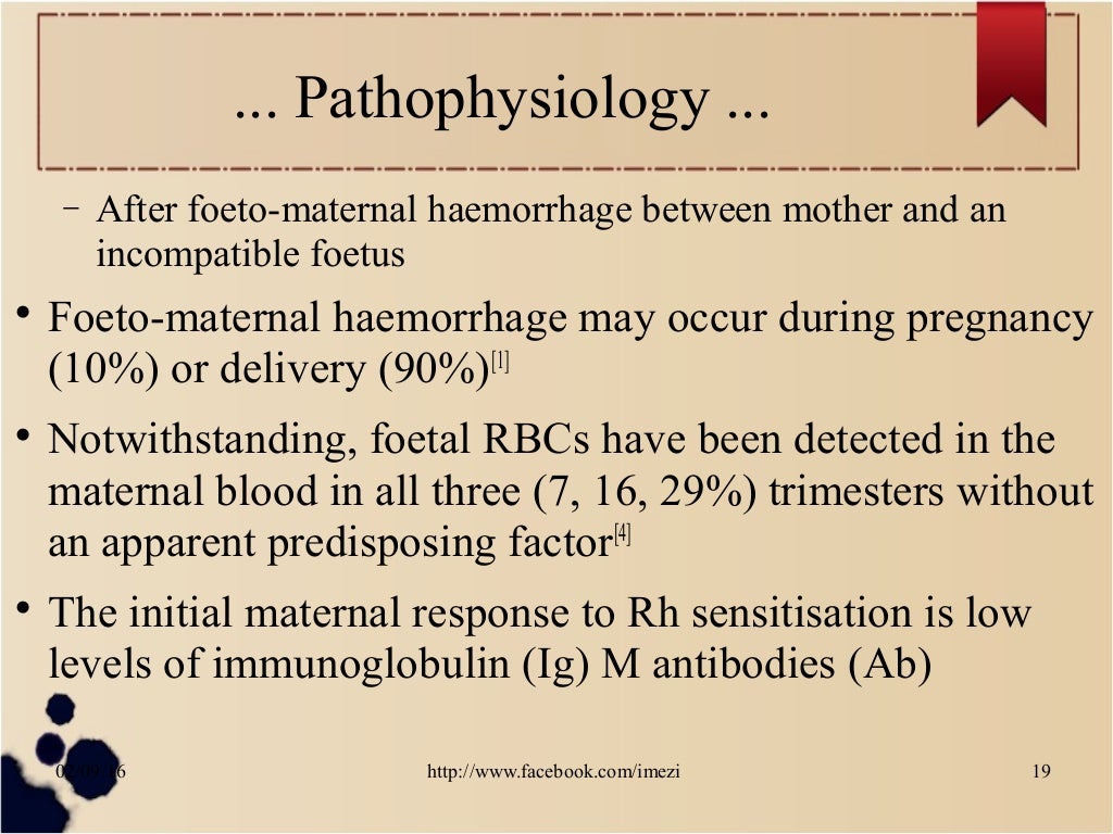 Management Of Rh Negative Pregnancy Management Of Rh Negative Pregnancy