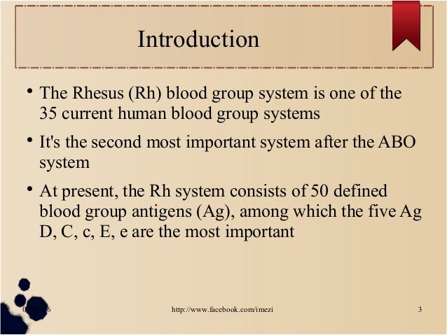 Management Of Rh Negative Pregnancy Management Of Rh Negative Pregnancy