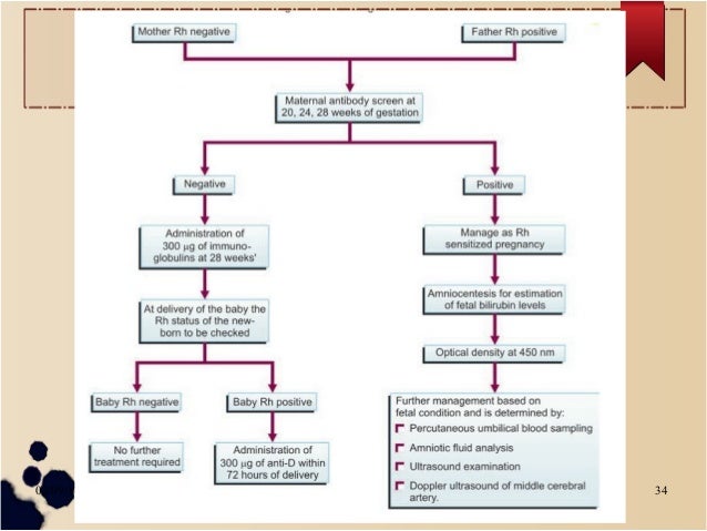 Management Of Rh Negative Pregnancy Management Of Rh Negative Pregnancy