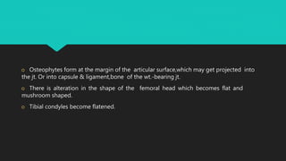  Osteophytes form at the margin of the articular surface,which may get projected into
the jt. Or into capsule & ligament,bone of the wt.-bearing jt.
 There is alteration in the shape of the femoral head which becomes flat and
mushroom shaped.
 Tibial condyles become flatened.
 