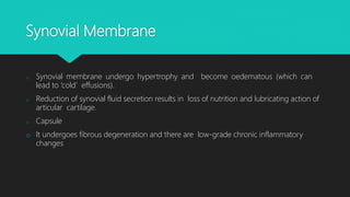 Synovial Membrane
o Synovial membrane undergo hypertrophy and become oedematous (which can
lead to ‘cold’ effusions).
o Reduction of synovial fluid secretion results in loss of nutrition and lubricating action of
articular cartilage.
o Capsule
o It undergoes fibrous degeneration and there are low-grade chronic inflammatory
changes
 