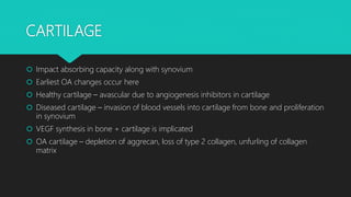CARTILAGE
 Impact absorbing capacity along with synovium
 Earliest OA changes occur here
 Healthy cartilage – avascular due to angiogenesis inhibitors in cartilage
 Diseased cartilage – invasion of blood vessels into cartilage from bone and proliferation
in synovium
 VEGF synthesis in bone + cartilage is implicated
 OA cartilage – depletion of aggrecan, loss of type 2 collagen, unfurling of collagen
matrix
 