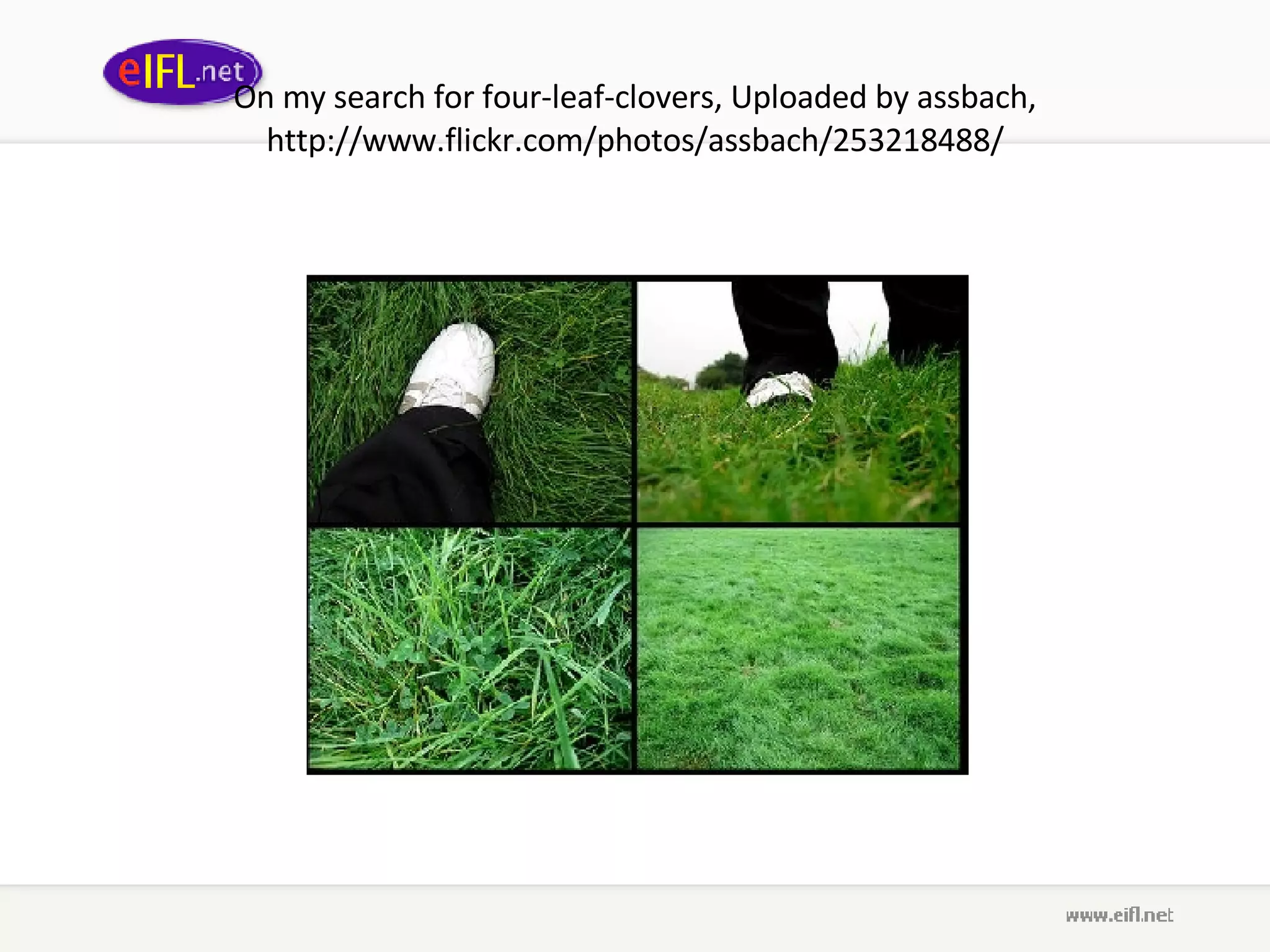 On my search for four-leaf-clovers ,  Uploaded by assbach ,  http://www.flickr.com/photos/assbach/253218488/ 