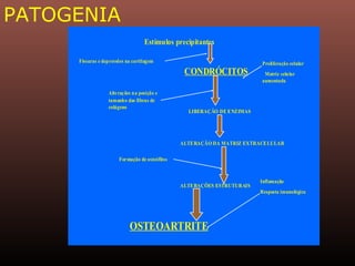 PATOGENIA
Estímulos precipitantesEstímulos precipitantes
CONDRÓCITOSCONDRÓCITOS
Fissuras e depressões na cartilagem
Alterações na posição e
tamanho das fibras de
colágeno
LIBERAÇÃO DE ENZIMAS
ALTERAÇÃO DA MATRIZ EXTRACELULAR
ALTERAÇÕES ESTRUTURAIS
Formação de osteófitos
OSTEOARTRITEOSTEOARTRITE
Inflamação
Resposta imunológica
Proliferação celular
Matriz celular
aumentada
 