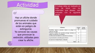 Actividad
Haz un afiche donde
promuevas el cuidado
de los animales que
están en peligro de
extinguirse.
Ya conoces las causas
que provocan la
extinción, utilízalas para
crear tu afiche.
El trabajo debe ser realizado en
hoja de block con los
materiales que desees, será
evaluado con la siguiente
pauta.
 