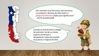 Son animales muy hermosos, pero tenemos
un problema. Muchos de ellos están en
peligro de extinción ¿Sabes qué significa eso?
…YO TE LO EXPLICARÉ
Cuando un animal está en peligro
de extinción, los de su misma
especie comienzan a
desaparecer, hasta que quedan
muy pocos o ninguno de ellos.
 