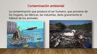 Contaminación ambiental
La contaminación que produce el ser humano, que proviene de
los hogares, las fábricas, las industrias, daña gravemente el
hábitat de los animales.
 