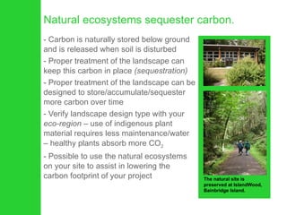 Natural ecosystems sequester carbon. Carbon is naturally stored below ground and is released when soil is disturbed Proper treatment of the landscape can keep this carbon in place  (sequestration) Proper treatment of the landscape can be designed to store/accumulate/sequester more carbon over time Verify landscape design type with your  eco-region  – use of indigenous plant material requires less maintenance/water – healthy plants absorb more CO 2 Possible to use the natural ecosystems on your site to assist in lowering the carbon footprint of your project The natural site is preserved at IslandWood, Bainbridge Island. 