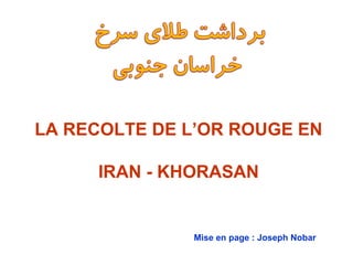 LA RECOLTE DE L’OR ROUGE EN

     IRAN - KHORASAN


              Mise en page : Joseph Nobar
 