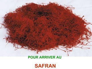 POUR ARRIVER AU
SAFRAN
