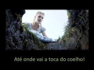 Até onde vai a toca do coelho!