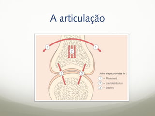 A articulação
 