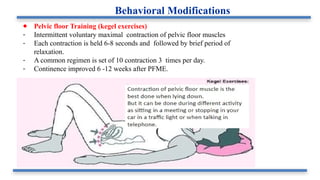 ● Pelvic floor Training (kegel exercises)
- Intermittent voluntary maximal contraction of pelvic floor muscles
- Each contraction is held 6-8 seconds and followed by brief period of
relaxation.
- A common regimen is set of 10 contraction 3 times per day.
- Continence improved 6 -12 weeks after PFME.
Behavioral Modifications
 