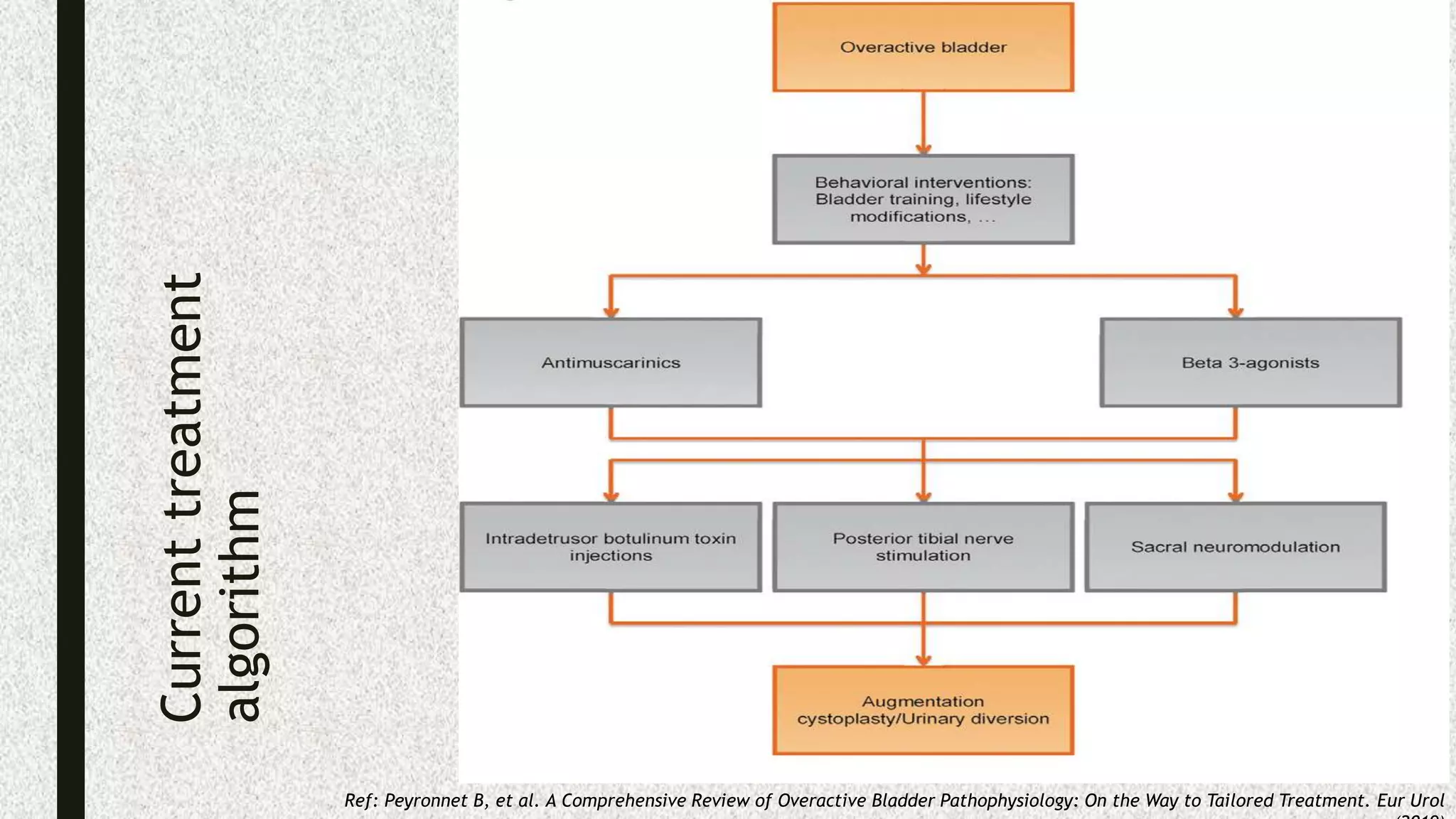 Current
treatment
algorithm
Ref: Peyronnet B, et al. A Comprehensive Review of Overactive Bladder Pathophysiology: On the Way to Tailored Treatment. Eur Urol
 