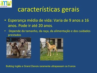 características gerais Esperança média de vida: Varia de 9 anos a 16 anos. Pode ir até 20 anos . Depende do tamanho, da raça, da alimentação e dos cuidados prestados Esperança média de vida: Varia de 9 anos a 16 anos. Pode ir até 20 anos Bulldog Inglês e Grand Danois raramente ultrapassam os 9 anos 