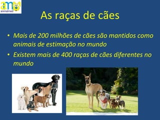 As raças de cães Mais de 200 milhões de cães são mantidos como animais de estimação no mundo  Existem mais de 400 raças de cães diferentes no mundo 