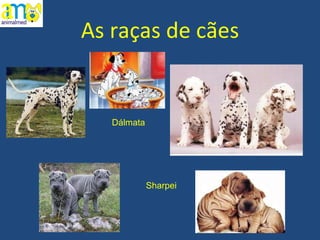 As raças de cães Dálmata Sharpei 