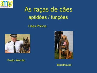 As raças de cães aptidões / funções Pastor Alemão Cães Polícia Bloodhound 