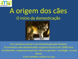 A origem dos cães O início da domesticação Foi o primeiro animal a ser domesticado pelo Homem.  Os primeiros cães domesticados surgiram há cerca de 12000 anos. Inicialmente, o papel principal dos cães era guardar  e proteger  os seus donos. Eram também usados na caça. 