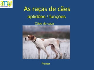 As raças de cães aptidões / funções Pointer Cães de caça 