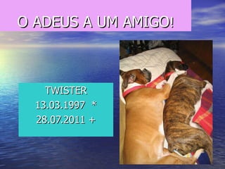 O ADEUS A UM AMIGO ! TWISTER 13.03.1997  * 28.07.2011 + 