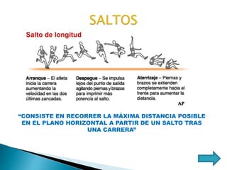 “CONSISTE EN RECORRER LA MÁXIMA DISTANCIA POSIBLE
EN EL PLANO HORIZONTAL A PARTIR DE UN SALTO TRAS
UNA CARRERA”
 