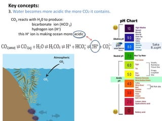 Key concepts:
3. Water becomes more acidic the more CO2 it contains.
CO2 reacts with H20 to produce:
bicarbonate ion (HCO-
3)
hydrogen ion (H+)
this H+ ion is making ocean more acidic
 
