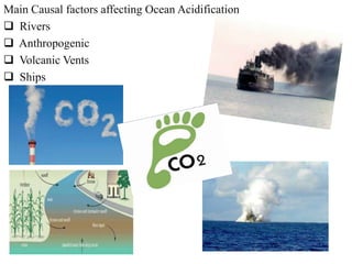 Main Causal factors affecting Ocean Acidification
 Rivers
 Anthropogenic
 Volcanic Vents
 Ships
 