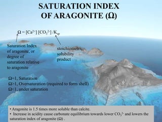 SATURATION INDEX
OF ARAGONITE (Ω)
Ω = [Ca2+] [CO3
2-] /Ksp
Saturation Index
of aragonite, or
degree of
saturation relative
to aragonite
stoichiometric
solubility
product
Ω=1, Saturation
Ω>1, Oversaturation (required to form shell)
Ω<1, under saturation
• Aragonite is 1.5 times more soluble than calcite.
• Increase in acidity cause carbonate equilibrium towards lower CO3
2- and lowers the
saturation index of aragonite (Ω) .
 