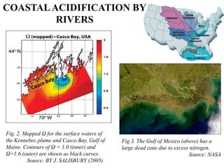 COASTALACIDIFICATION BY
RIVERS
Fig. 2. Mapped Ω for the surface waters of
the Kennebec plume and Casco Bay, Gulf of
Maine. Contours of Ω = 1.0 (inner) and
Ω=1.6 (outer) are shown as black curves.
Source: BY J. SALISBURY (2005)
Fig.3. The Gulf of Mexico (above) has a
large dead zone due to excess nitrogen.
Source: NASA
 