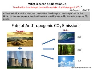 What is ocean acidification…?
“A reduction in ocean pH due to the uptake of anthropogenic CO2.”
(Hofmann et al 2010)
• Ocean Acidification is a term used to describe the change in chemistry of the Earth’s
Ocean i.e. ongoing decrease in pH and increase in acidity, caused by the anthropogenic CO2
uptake
26%
29%
45%
Fate of Anthropogenic CO2 Emissions
Source: Le Quéré et al 2013
Sources Sinks
 