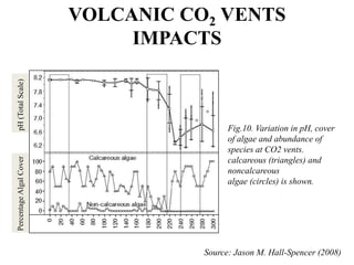 VOLCANIC CO2 VENTS
IMPACTS
Fig.10. Variation in pH, cover
of algae and abundance of
species at CO2 vents.
calcareous (triangles) and
noncalcareous
algae (circles) is shown.
Source: Jason M. Hall-Spencer (2008)
PercentageAlgalCoverpH(TotalScale)
 