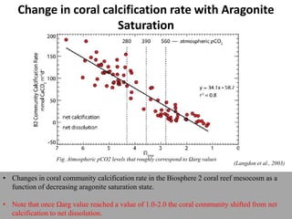 • Changes in coral community calcification rate in the Biosphere 2 coral reef mesocosm as a
function of decreasing aragonite saturation state.
• Note that once Ωarg value reached a value of 1.0-2.0 the coral community shifted from net
calcification to net dissolution.
Change in coral calcification rate with Aragonite
Saturation
Fig. Atmospheric pCO2 levels that roughly correspond to Ωarg values
(Langdon et al., 2003)
 