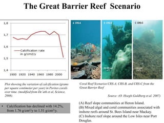 (A) Reef slope communities at Heron Island.
(B) Mixed algal and coral communities associated with
inshore reefs around St. Bees Island near Mackay.
(C) Inshore reef slope around the Low Isles near Port
Douglas.
Plot showing the variation of calcification (grams
per square centimeter per year) in Porites corals
over time. (modified from De’ath et al, Science,
2008).
The Great Barrier Reef Scenario
• Calcification has declined with 14.2%,
from 1.76 g/cm2/y to 1.51 g/cm2/y.
Source: (O. Hoegh-Guldberg et al. 2007)
Coral Reef Scenarios CRS-A, CRS-B, and CRS-C from the
Great Barrier Reef
 