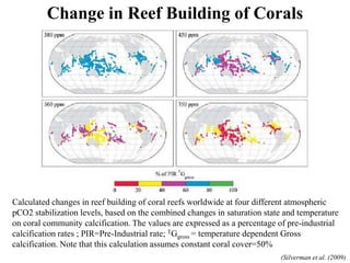 Calculated changes in reef building of coral reefs worldwide at four different atmospheric
pCO2 stabilization levels, based on the combined changes in saturation state and temperature
on coral community calcification. The values are expressed as a percentage of pre-industrial
calcification rates ; PIR=Pre-Industrial rate; TGgross = temperature dependent Gross
calcification. Note that this calculation assumes constant coral cover=50%
Change in Reef Building of Corals
(Silverman et al. (2009)
 