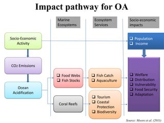 Impact pathway for OA
Socio-Economic
Activity
CO2 Emissions
Ocean
Acidification
 Food Webs
 Fish Stocks
Coral Reefs
 Fish Catch
 Aquaculture
 Tourism
 Coastal
Protection
 Biodiversity
 Population
 Income
 Welfare
 Distribution
 Vulnerability
 Food Security
 Adaptation
Marine
Ecosystems
Ecosystem
Services
Socio-economic
impacts
Source: Moore et al. (2011)
 