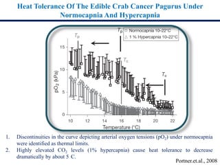 Heat Tolerance Of The Edible Crab Cancer Pagurus Under
Normocapnia And Hypercapnia
1. Discontinuities in the curve depicting arterial oxygen tensions (pO2) under normocapnia
were identified as thermal limits.
2. Highly elevated CO2 levels (1% hypercapnia) cause heat tolerance to decrease
dramatically by about 5 C.
Portner.et.al., 2008
 
