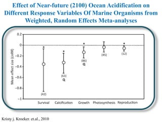 Effect of Near-future (2100) Ocean Acidification on
Different Response Variables Of Marine Organisms from
Weighted, Random Effects Meta-analyses
Kristy j. Kroeker. et.al., 2010
 