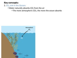 Key concepts:
2. CO2 sink in the Oceans
• Water naturally absorbs CO2 from the air
• The more atmospheric CO2, the more the ocean absorbs
 