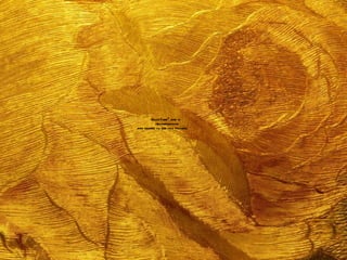 QuickTimeª and a
          decompressor
are needed to see this picture.
 