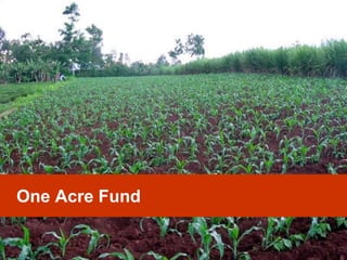 One Acre Fund

 