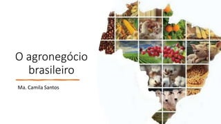 O agronegócio
brasileiro
Ma. Camila Santos
 