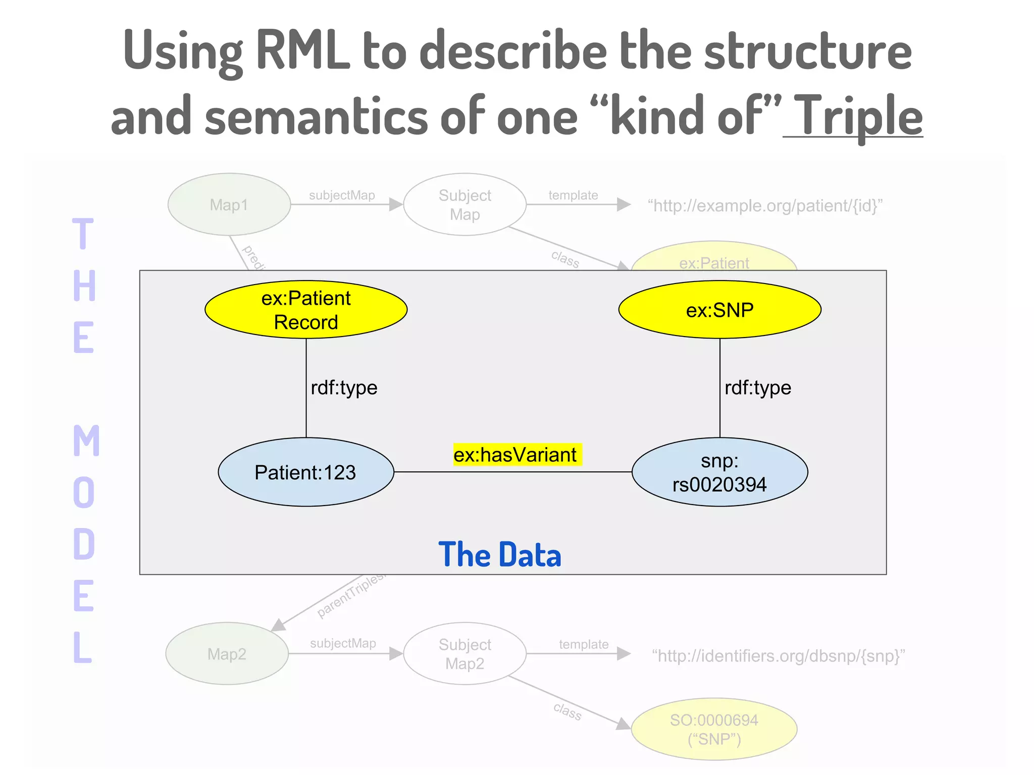 Using RML to describe the structure
and semantics of one “kind of” Triple
Map1
Predicate
Object Map
Subject
Map
Object
Map
ex:Patient
Record
subjectMap template
“http://example.org/patient/{id}”
predicate ex:has
Variant
Map2
Subject
Map2
SO:0000694
(“SNP”)
template
“http://identifiers.org/dbsnp/{snp}”
T
H
E
M
O
D
E
L
 