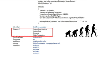 54
The query
(i.e. inclusion criteria)
 